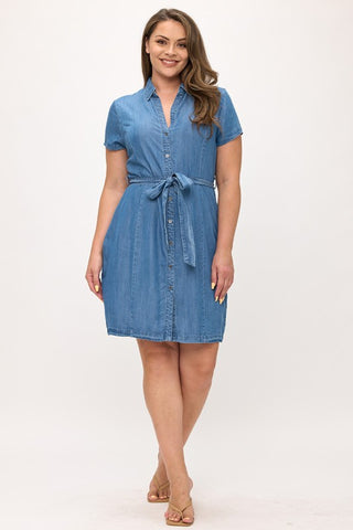 She’s A Vision Chambray Dress