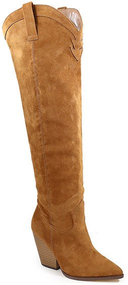 Pointy Toe Knee High Boots